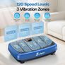 Vibrating plate Evo spark Image 4