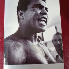 Norman Mailer / The Fight / Penguin Classics 2000