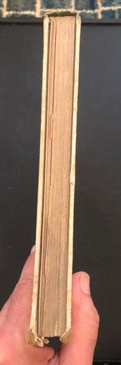 Antique Book Nister's Holiday Annual 1894