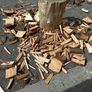 BBQ, Smoke house. Cherry wood in whatever pieces you need: shavings, kindling, or larger pieces. Image 9