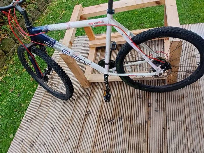 adults bike