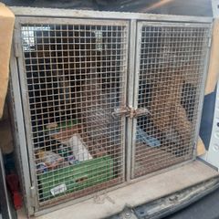 Dog Cage / Greyhound Cage