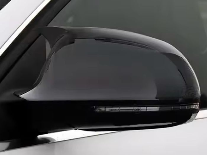 Mirror Cover Wing Cap