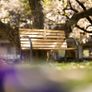 Garden Bench Park Bench Wood Image 3