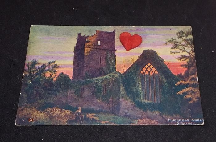 Ireland Postcard : Muckross Abbey , Killarney , Co. Kerry ... 1900s