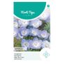 (N) Baby Blue Eyes seeds Nemophilia 1g (452003) Image 2