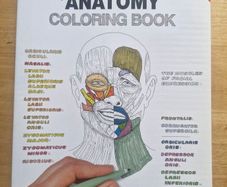 The Anatomy Colouring Book (3rd edition)