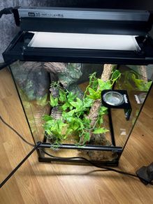 HabiStat Glass Terrarium
