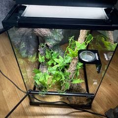 HabiStat Glass Terrarium
