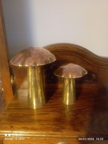 Arts & Crafts Brass & Copper Large Mushroom Shaped Salt & Pepper Shakers (Donegal, Makers Stamp)
