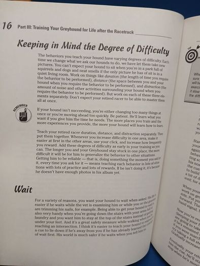 Retired Racing Greyhounds for Dummies
