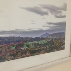 Original Framed Photograph of Delgany and Sugarloaf
