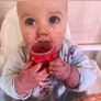Feed Image 3