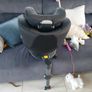 Joie iSpiin 360 Image 4