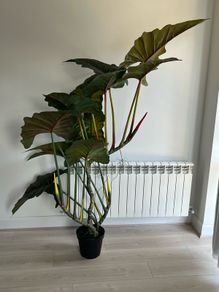 Artificial Plant