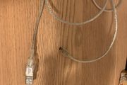 2 usb to mini usb cable