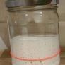sourdough starter Image 3