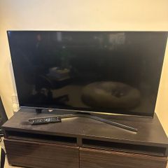 Samsung 48" TV