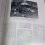 Irish Arts Review Yearbook 1993 Ireland Jack B. Yeats Image 7