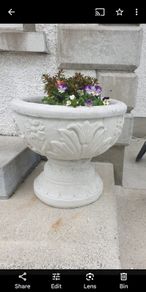 flower pot