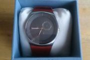 Skagen Watch