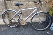 bike  giant needs fixing