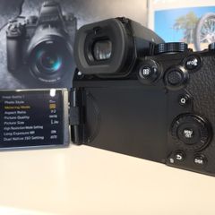 Lumix S5II Full-frame Mirrorless Camera