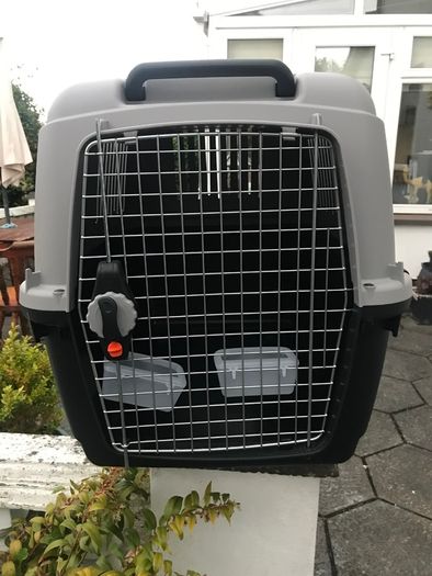 Domestic pet Bracco transport 5