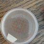 mineral bronzing powder Image 2