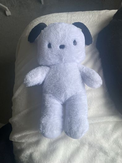Sanrio Build a bear Teddy