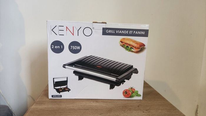 Electric Grill