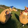 Kangaroo Suits for Sale! Great addition to bouncy castle! Image 3