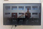 Hannspree Outdoor Monitor Setup + Weatherproof Cover and Google Chromecast
