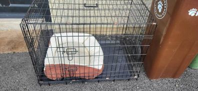 Medium Sized Dig Crate