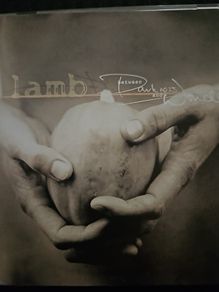 Lamb - Between Darkness  And Wonder.