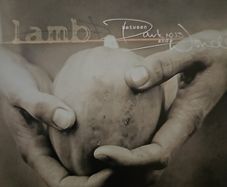 Lamb - Between Darkness  And Wonder.