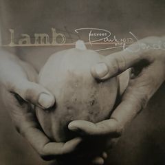 Lamb - Between Darkness  And Wonder.