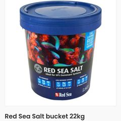 Red Sea Salt in bucket