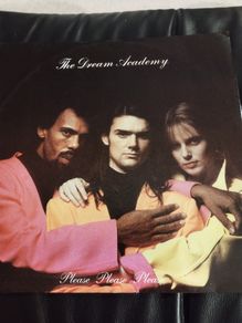 Dream Academy Please please please 12" (from Ferris Bueller)