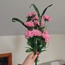 pink carnations fake faux wholesale Image 4