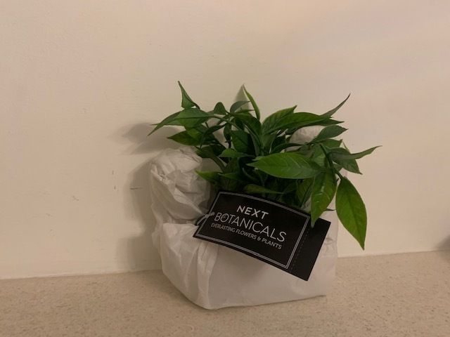 NEXT artificial plant