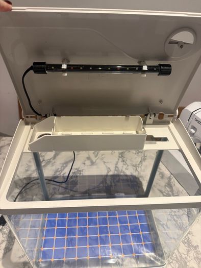 Fish tank free to collect