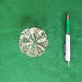 10 Various Vintage and Collectable Items Image 8