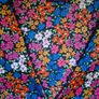 Ladies Summer Bundle (size 16) Image 5