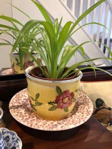 Lesser & Pavey "Leonardo Collection" Spring Roses Hand Painted Planter & Original Box