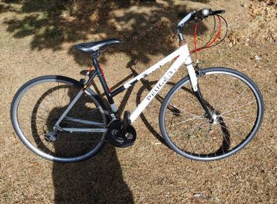 hybrid bike