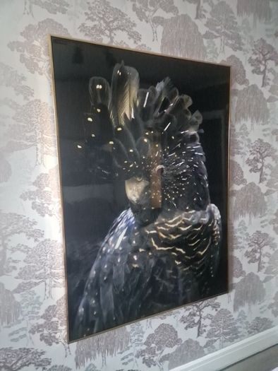 poster picture