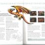 2015 Jersey Stamp Year Book (hardback) issued by Jersey Post includes 28 images of contents Image 6