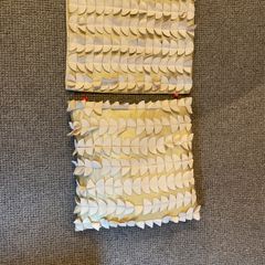 Two cushion covers champagne application