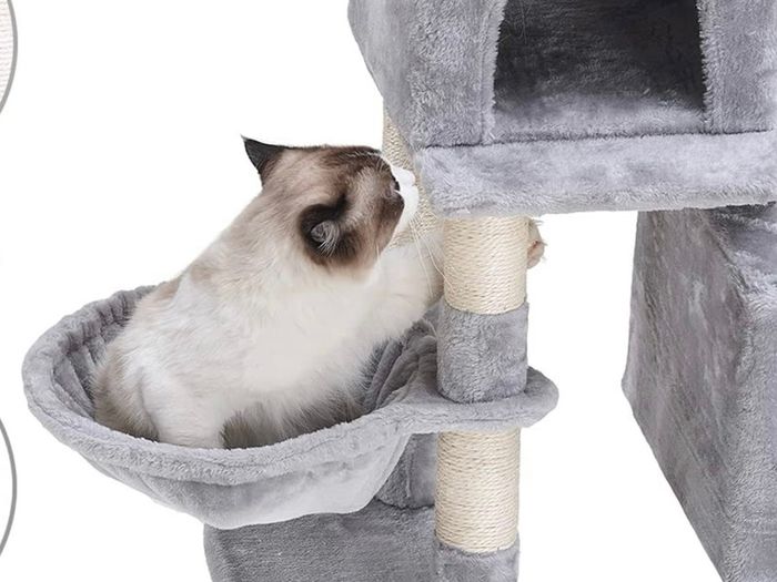 Cat Tree, 147 cm cat tower, Multi-Leve cat condo MULTIPLE COLOURS (FREE POSTAGE)